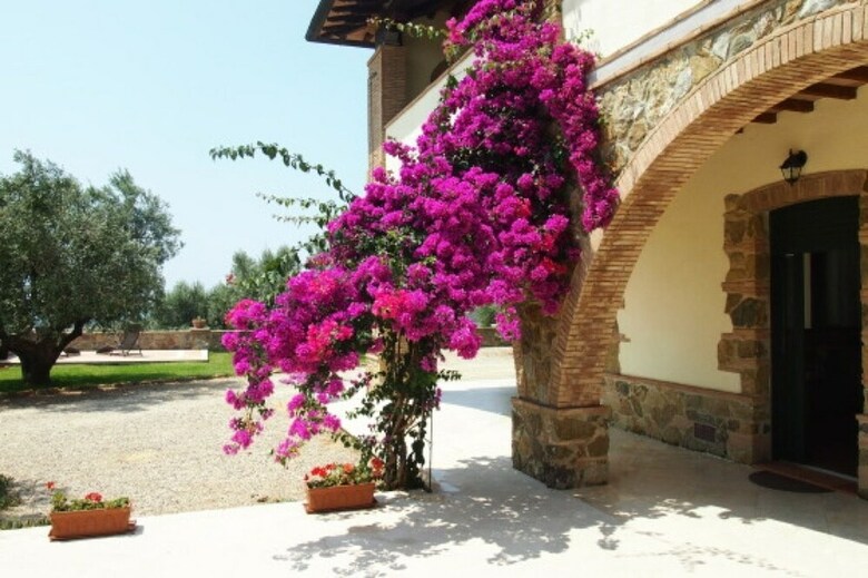 Agroturismo Colle Berto