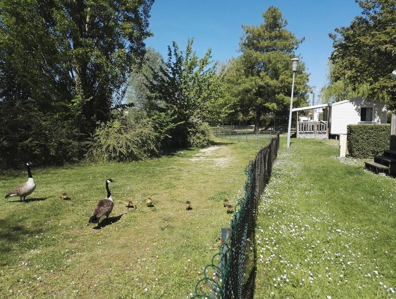 Hotel Camping de Ch�lons-en-champagne