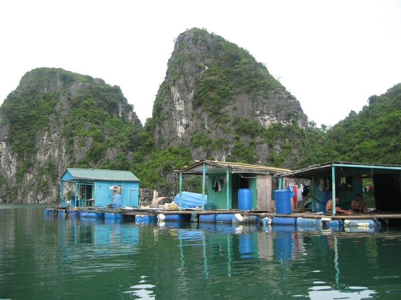 White Dolphin Cruise