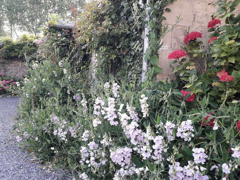 Bed & Breakfast Chambres D'h�tes Domaine Du Hutrel