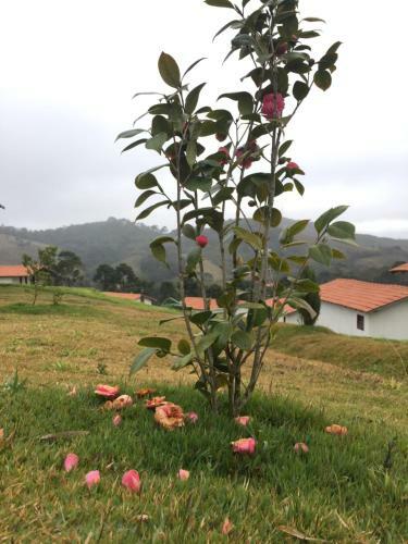 Lodge Pousada Chal�s Alternativa