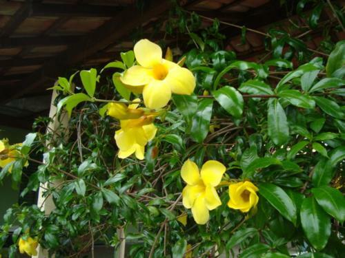 Hostal Pousada Renascen�a
