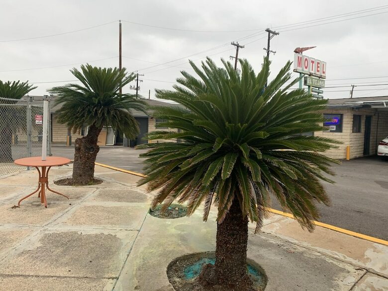 Hotel El Tejas Motel