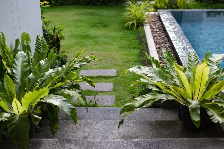 Hotel The Seaton House Phuket