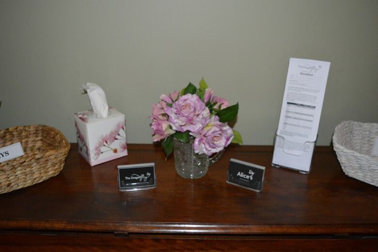 Bed & Breakfast The Dragonfly North West