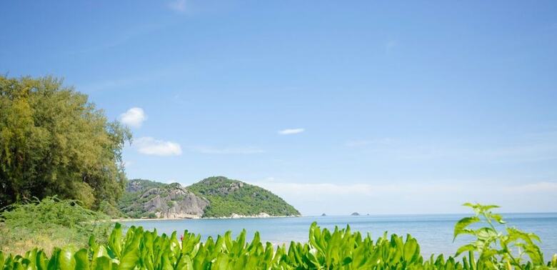 Amazing 5 Bedroom Condo On The Beach Sp