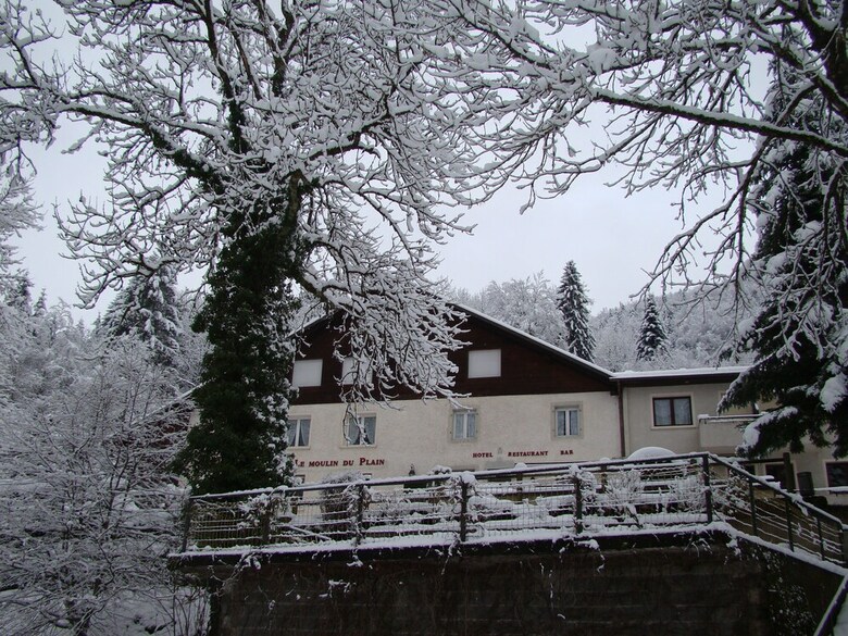 Hotel H�tel Restaurant Le Moulin Du Plain