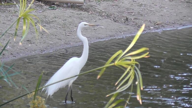 Apartamento Sanctuary Lakes Fauna Retreat