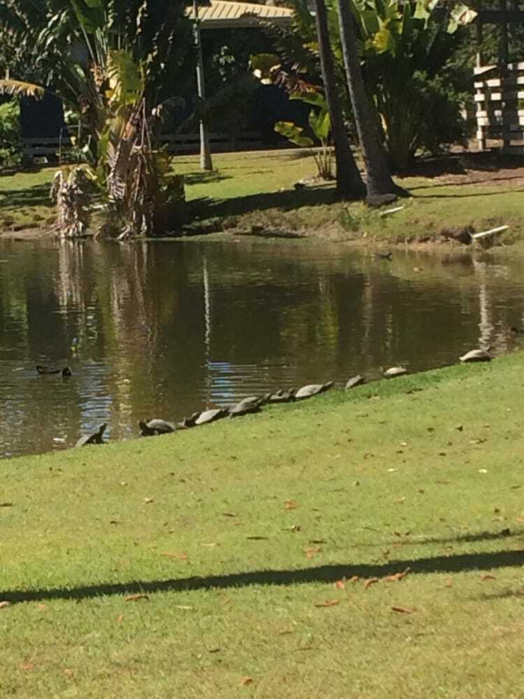 Apartamento Sanctuary Lakes Fauna Retreat