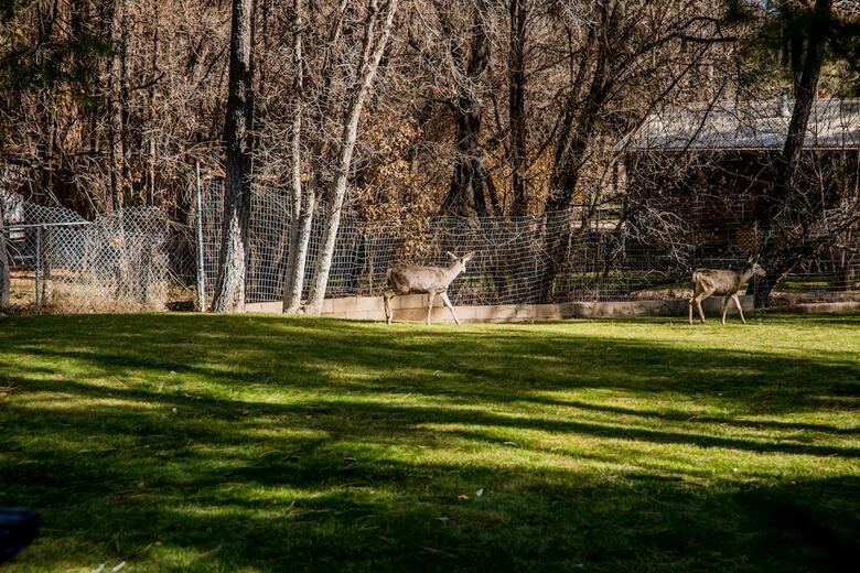 Posada Ruidoso Lodge Cabins