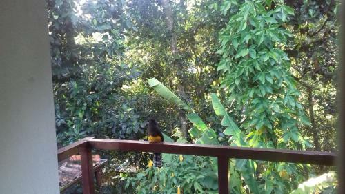Hostal Pitanga Ilha Grande Cama E Caf�