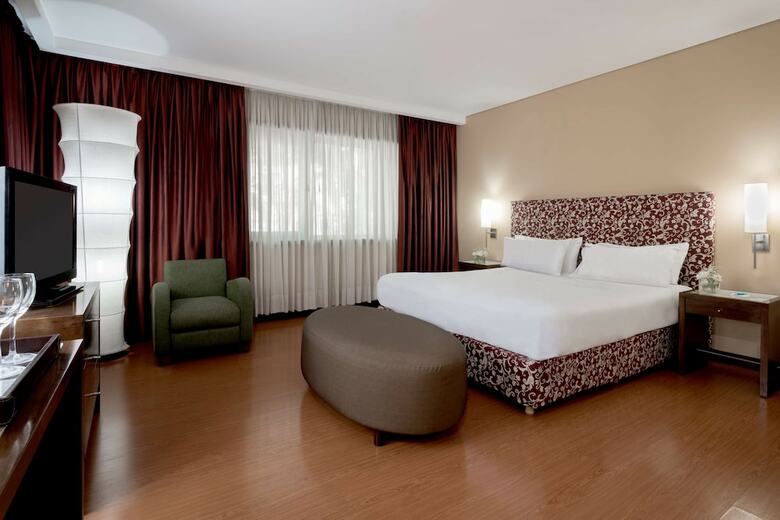 Hotel NH Mendoza Cordillera