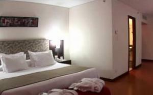 Hotel NH Mendoza Cordillera