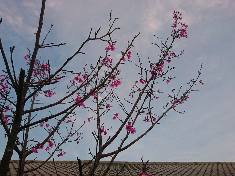 Hotel Wai Zi Wai Guesthouse