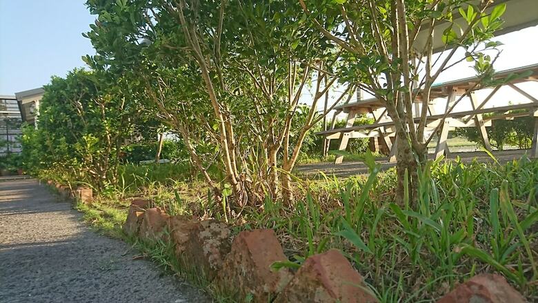Hotel Wai Zi Wai Guesthouse