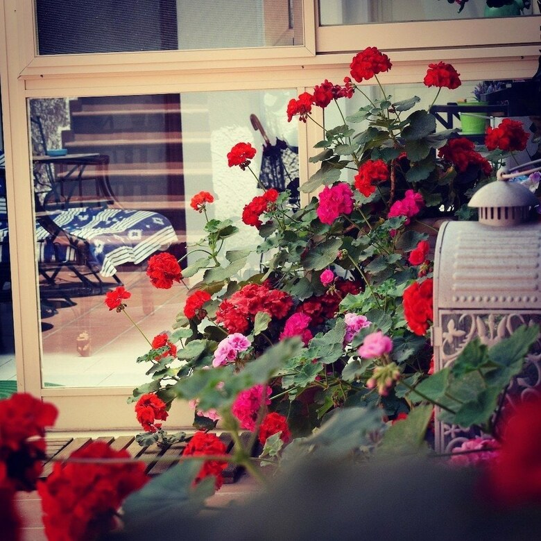Bed & Breakfast Il Cortiletto Di Piazza Verga