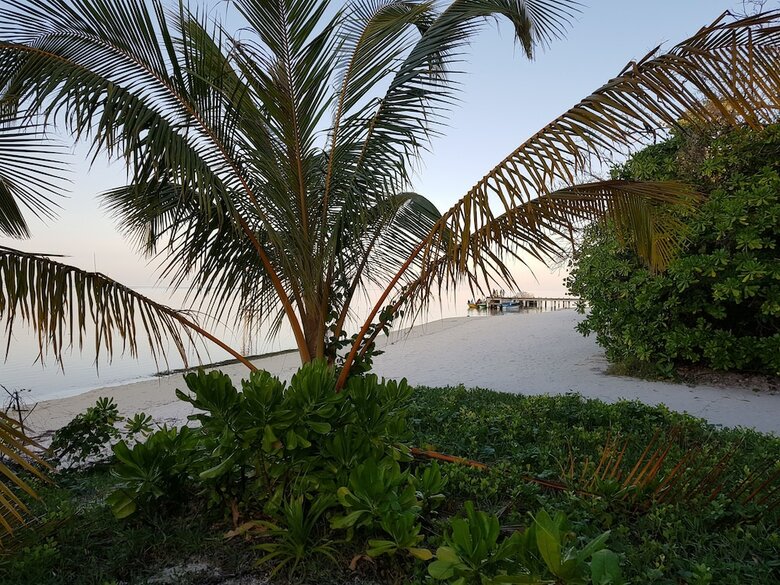 Hotel White Lagoon Fehendhoo