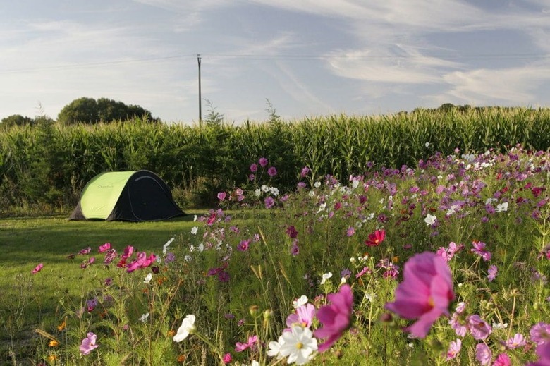 Camping Ferme P�dagogique de Prunay