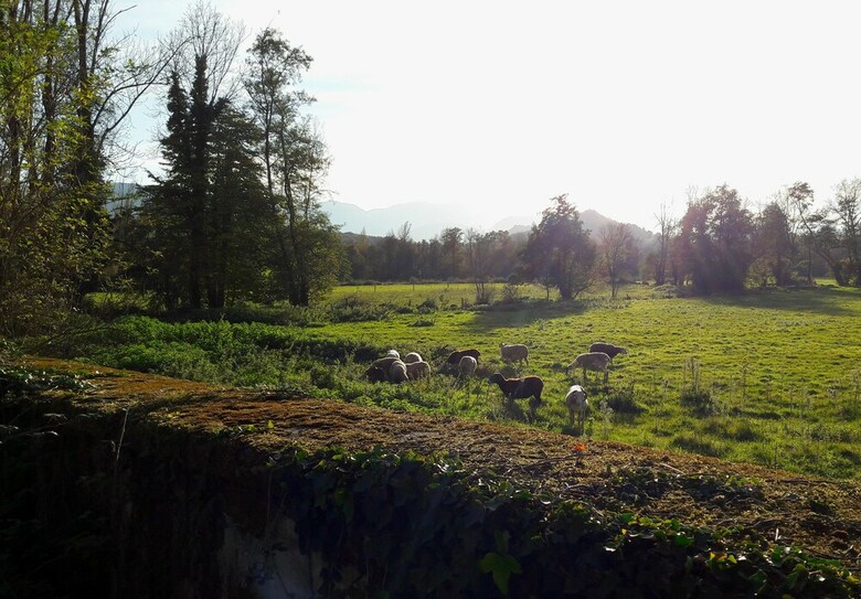 Domaine Lou Castet B&B
