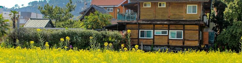 Jeju Nandere Log Pension