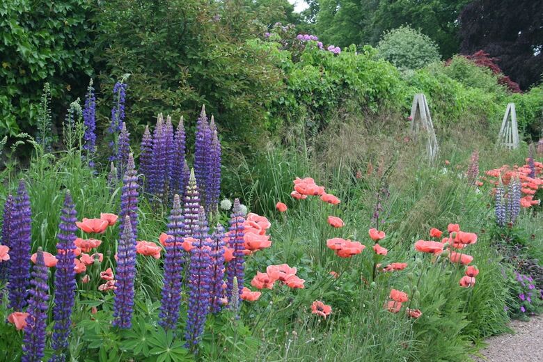 Bed & Breakfast The Wendy Hoose