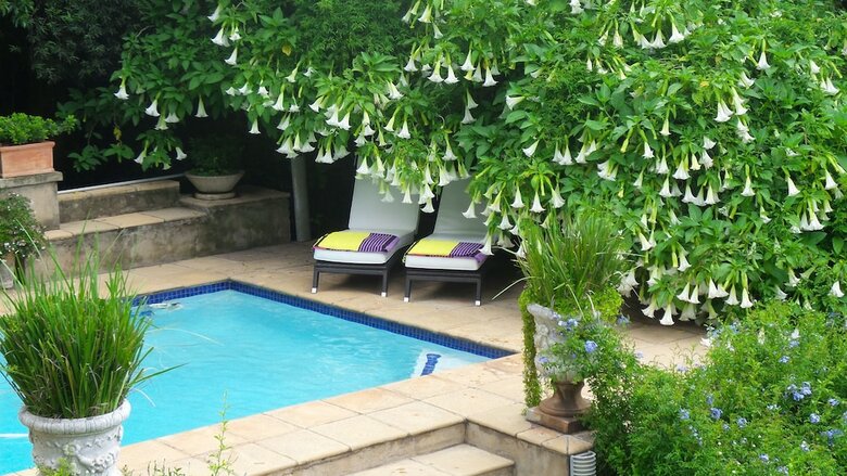 Apartamentos Melrose Executive Suites