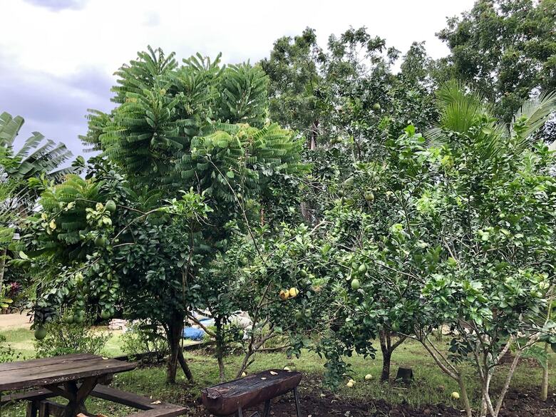 Hotel Bohol Garden Homes