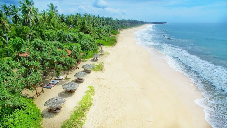 Hotel Good Karma Ayurvedic Resort