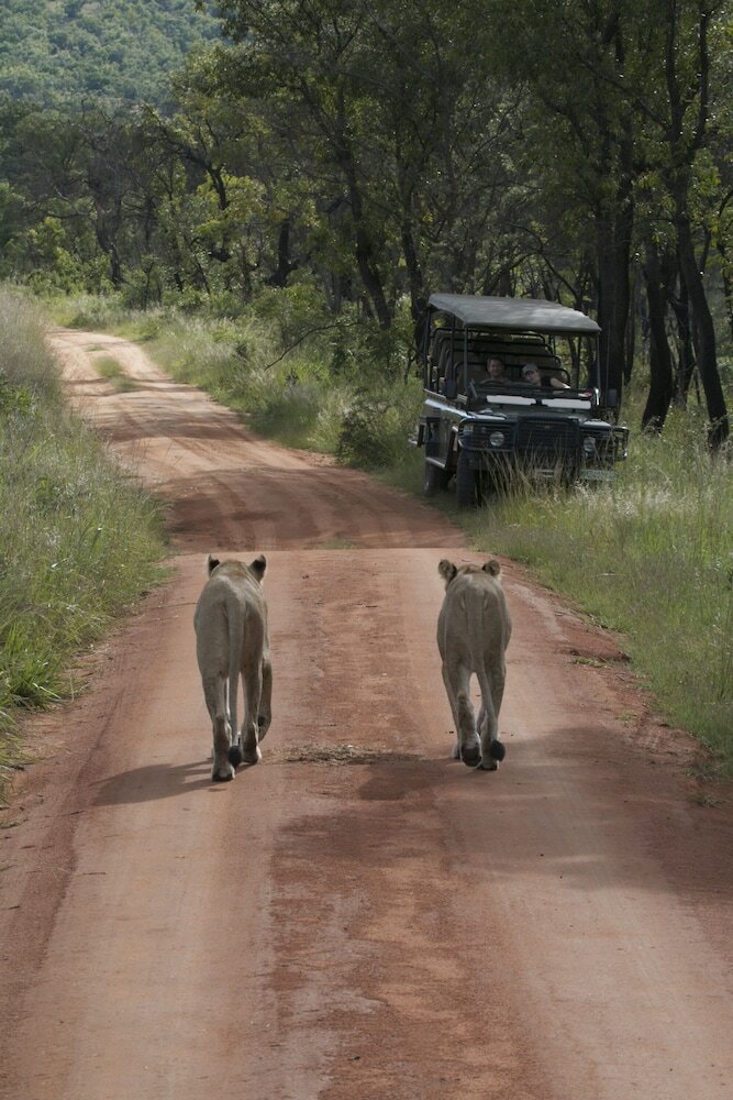 Posada Inzalo Safari Lodge