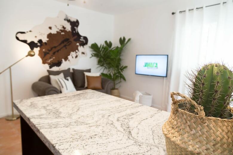 Apartamentos Renovated Apt.walk To Marley Museum