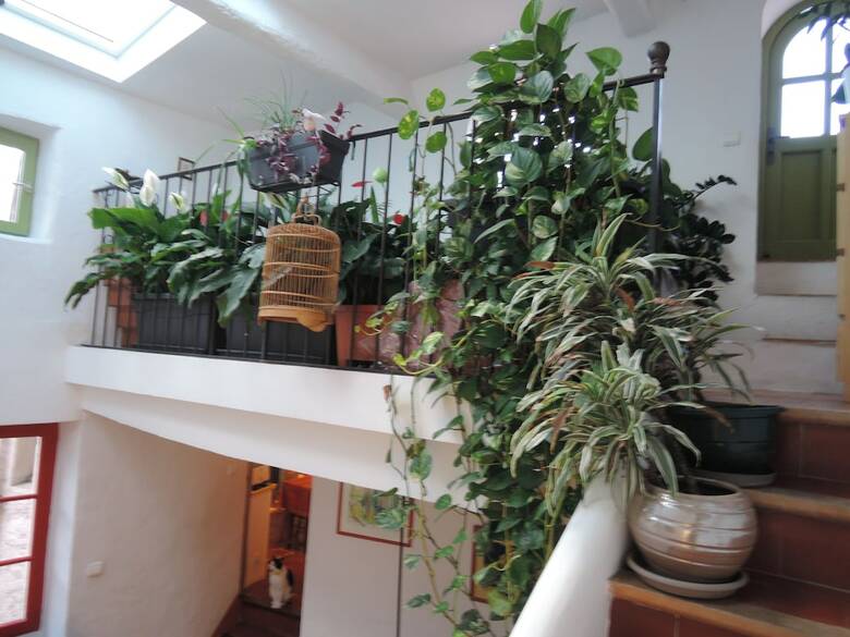 La Maison Bleue B&B