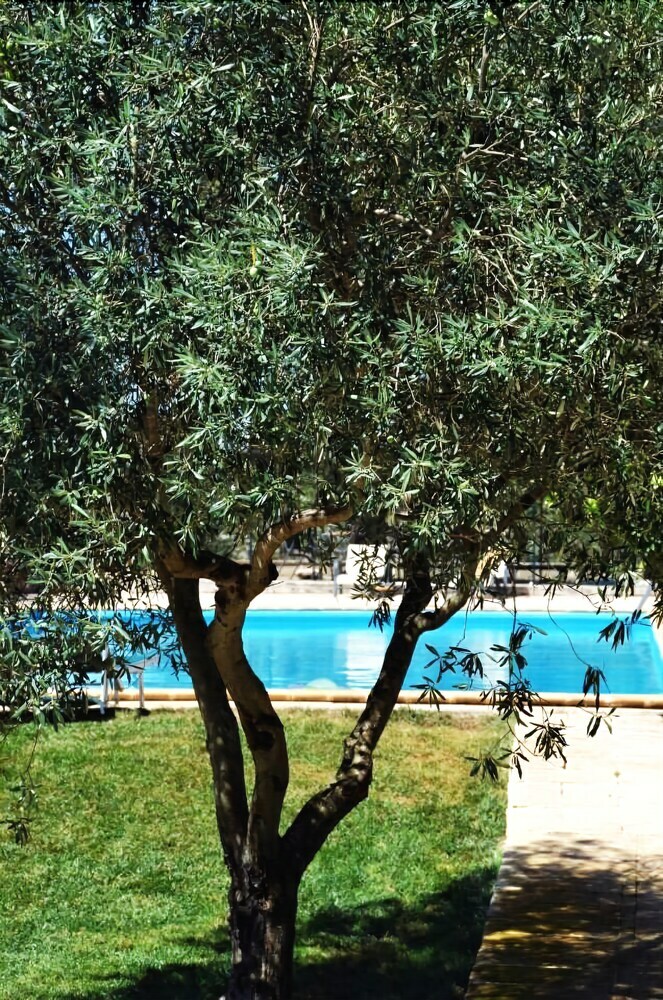 Apartamento Tenuta Deserto