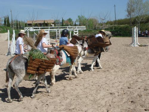 Agroturismo El Mas De Xet�