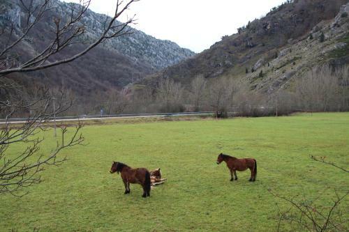 Hostal Centro De Turismo Rural Vegalion