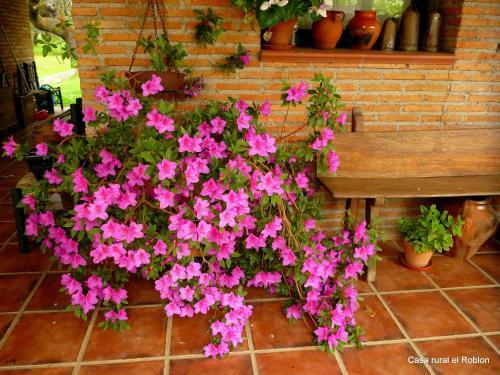 Hostal Casa Rural El Roblon