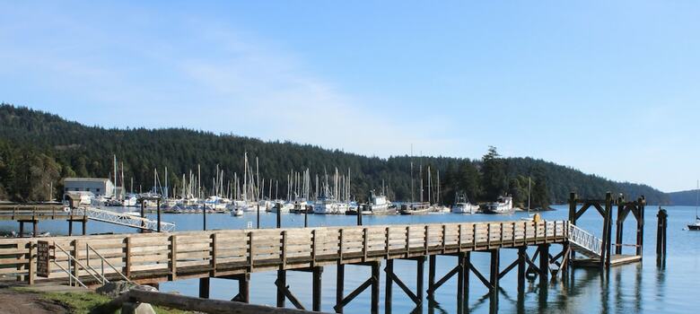 Posada Kingfish At West Sound