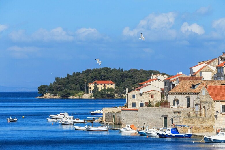 Apartments Donna With Sea View
