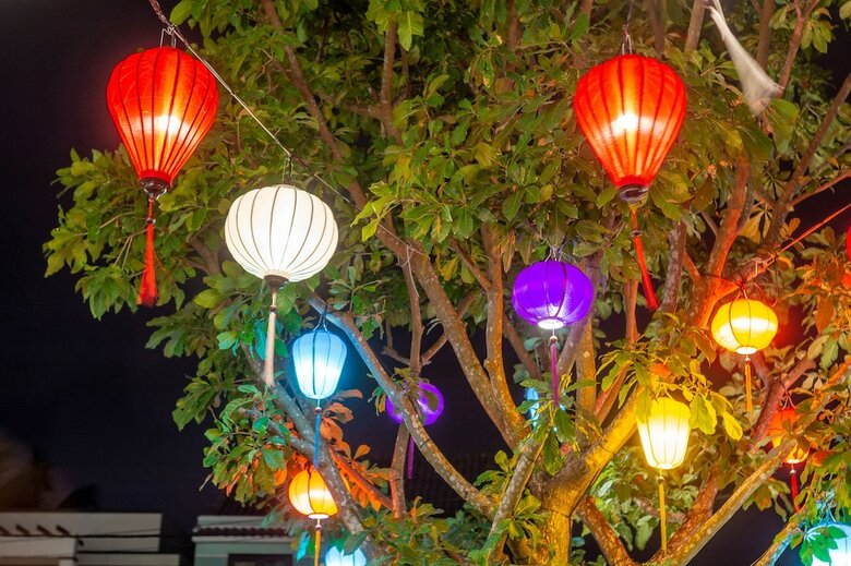 Hotel Lime Villa Hoi An