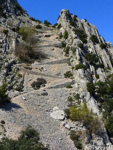 Camping Sierra Espu�a