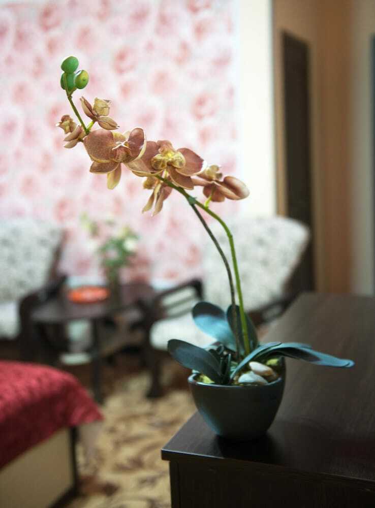 Siyanie Hotel