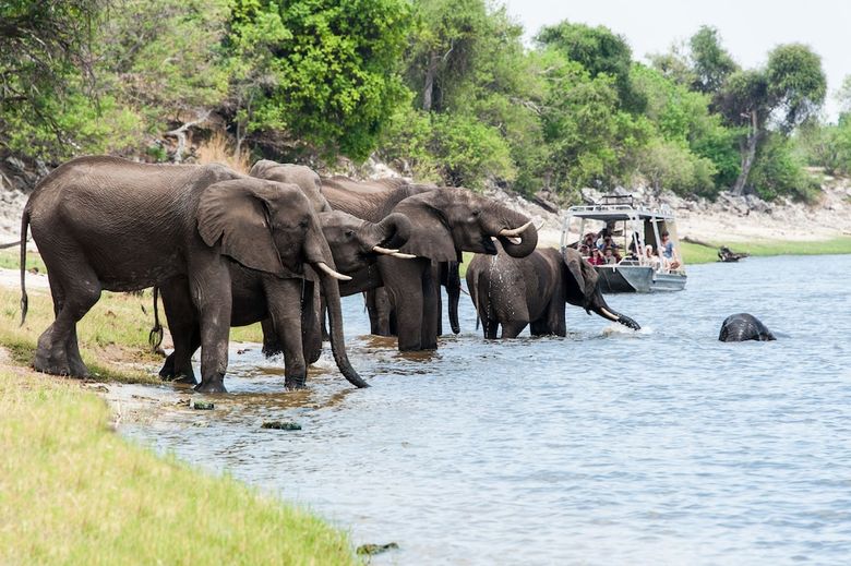 Posada Ichingo Chobe River Lodge