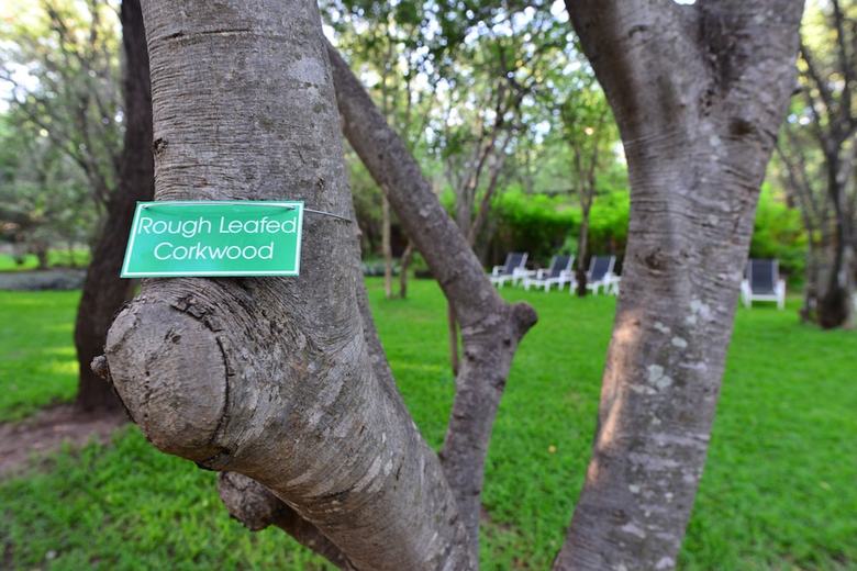 Posada Ichingo Chobe River Lodge