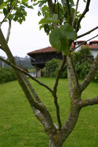 Apartamentos Los Picos