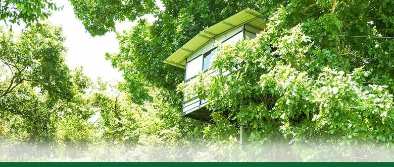 Hotel Yuhibuhi Forest Resort