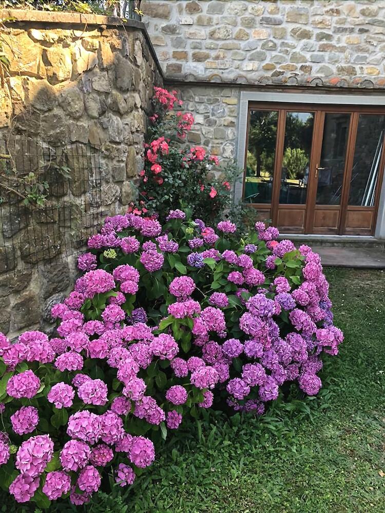 Agroturismo Agriturismo Castagneto Picci