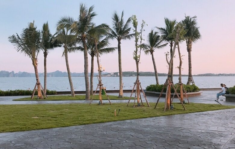 Hotel Halong & Me Hometel