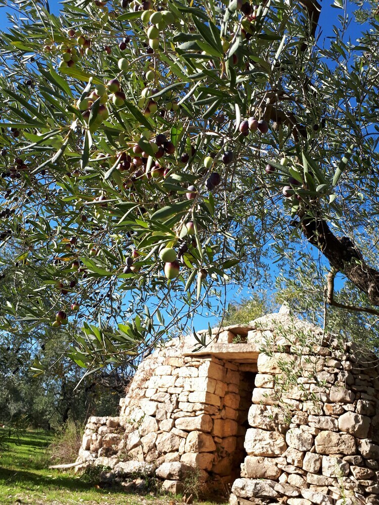 Agroturismo Agriturismo Le Vedute