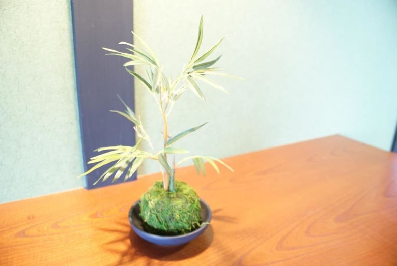 Apartamentos Omotenashi Bayside Usj House (59-14)