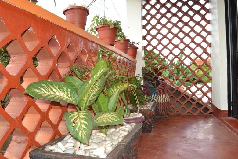 Apartamentos Jungle House