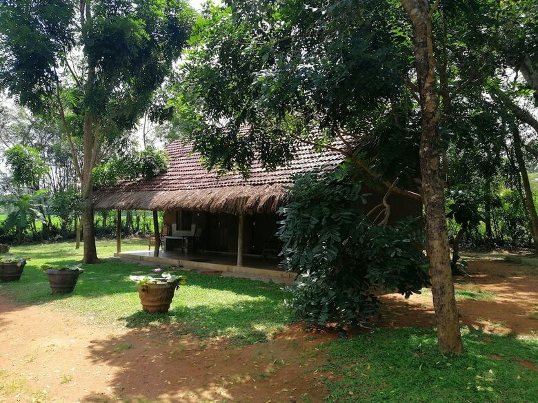 Bed & Breakfast Ama Villa Homestay